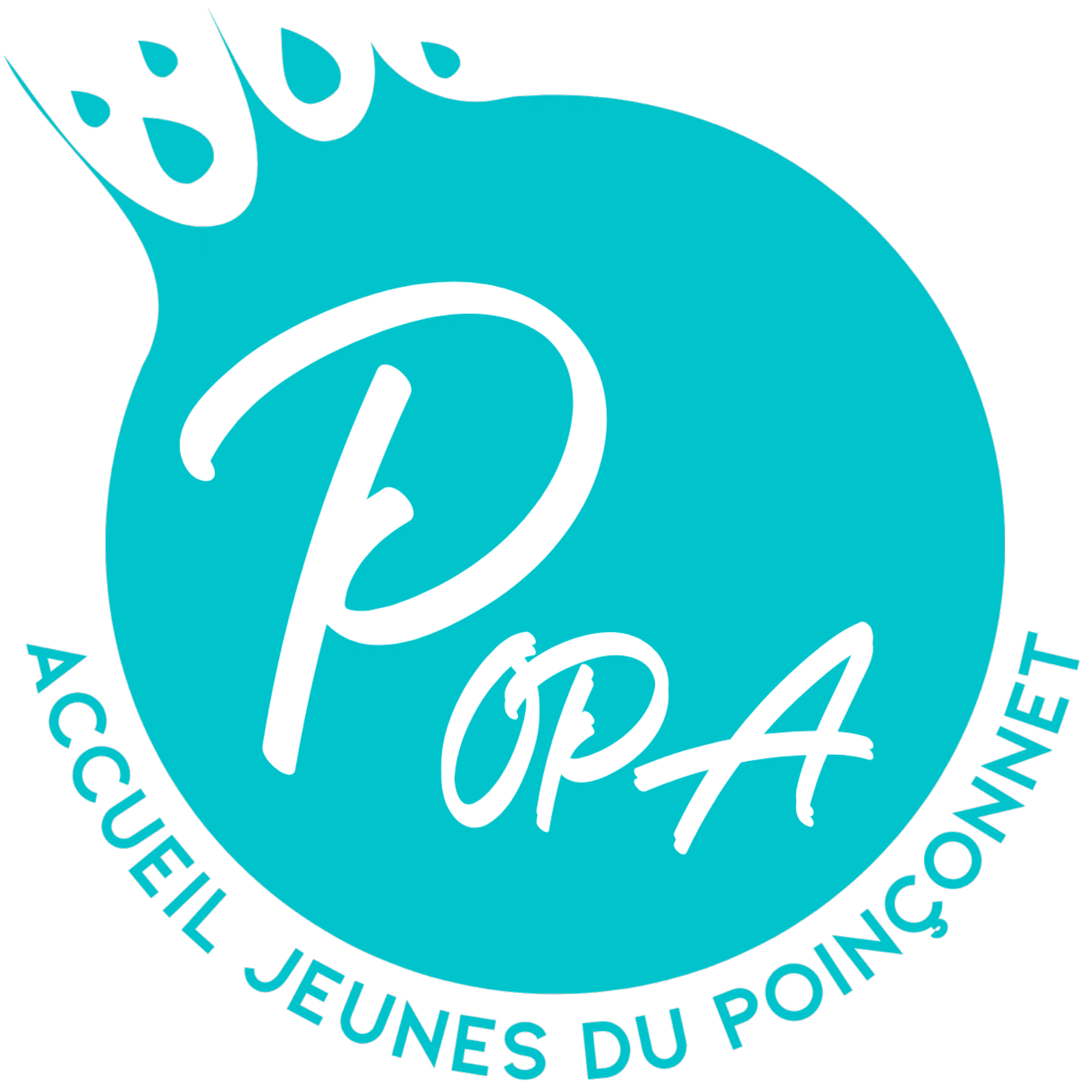 Lire la suite à propos de l’article Speed Projet ou comment  apprendre à « monter »  des projets.