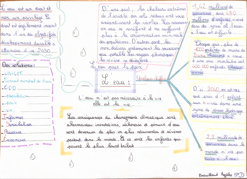 carte mentale