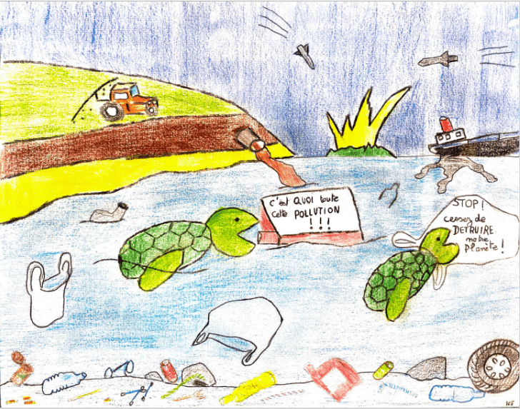 tortues