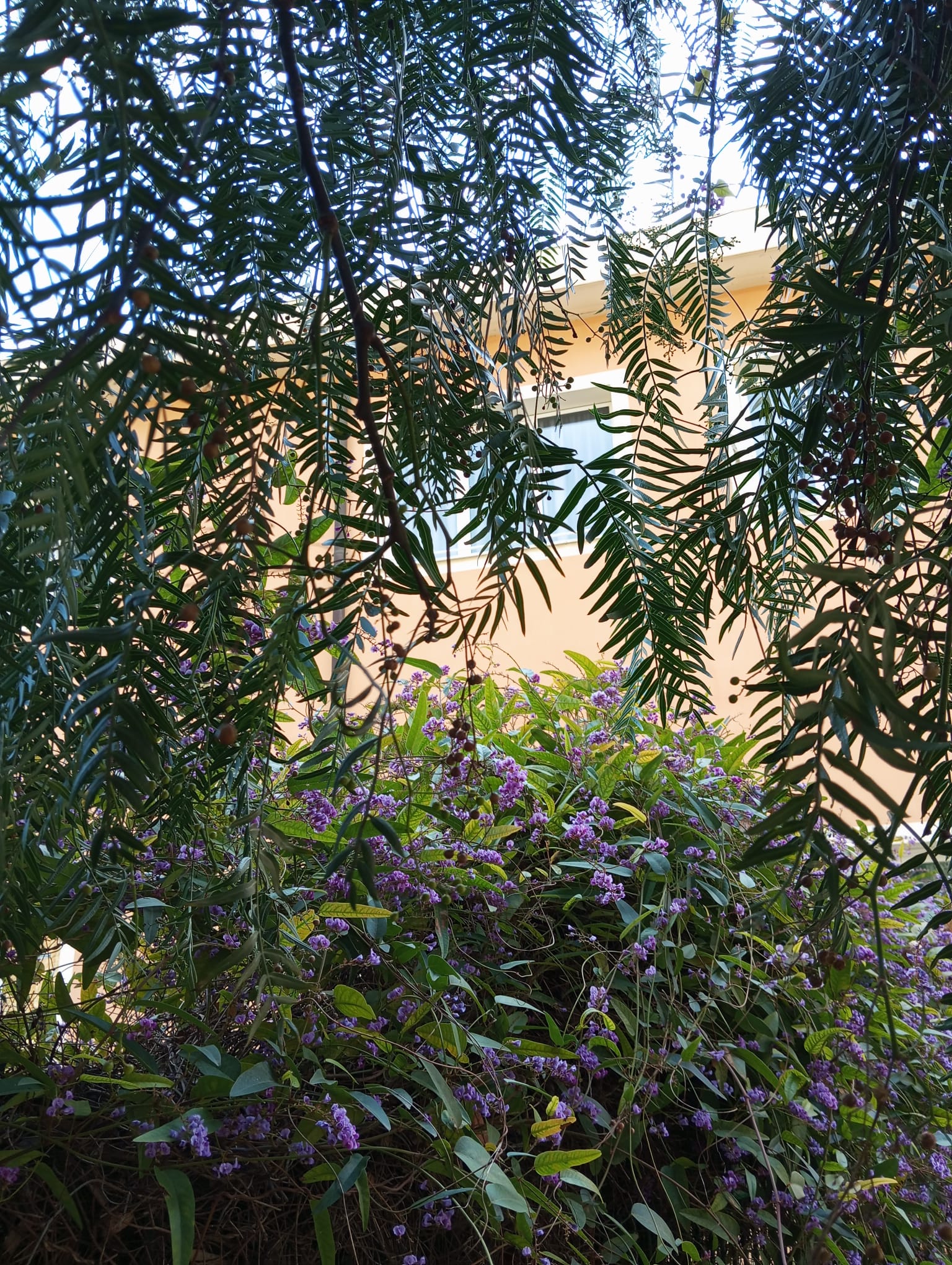 IMG-20250318-WA0008